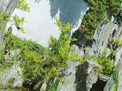 -东山雕花楼