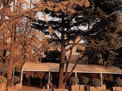 -中山路壹号传奇club·啤酒花园餐厅