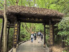 -天目湖山水园