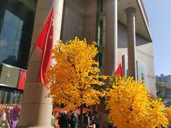 -西北轻工批发市场