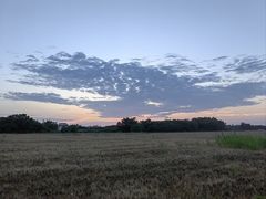 -汉长安城未央宫国家考古遗址公园