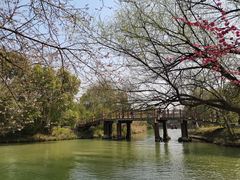 -西溪国家湿地公园