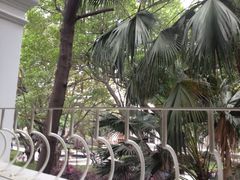 iphone_upload_pic-星巴克臻选(广州沙面店)