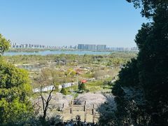 -苏州上方山国家森林公园