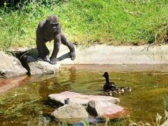 -西安秦岭野生动物园