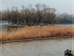 -百脉泉景区