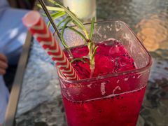 -柴犬高等学院·狗咖·柴犬售卖·宠物训练