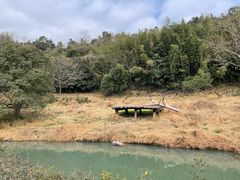 -宁波野生动物园