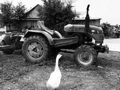 -北极村旅游风景区