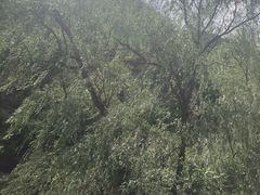 -碓臼峪自然风景区