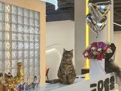 -THREE MONSTERS三只怪兽健身工作室(钟楼店)