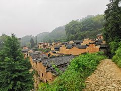 -杨家堂村