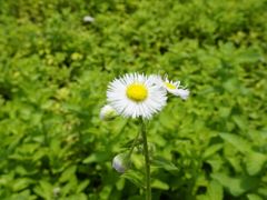 -上海辰山植物园