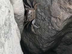 -上海吴淞炮台湾国家湿地公园