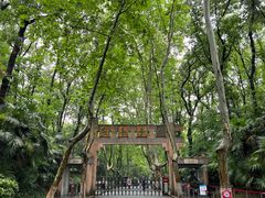 -灵谷景区
