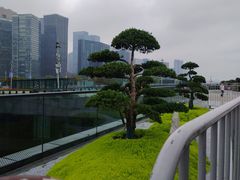 -钱江新城灯光秀
