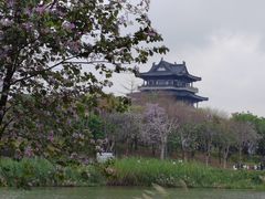 -海珠湖公园