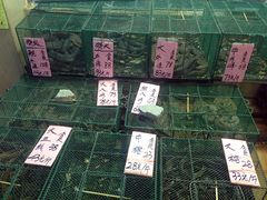 -荔城生鲜盛宴(番禺旗舰店)