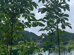 -武陵山森林公园