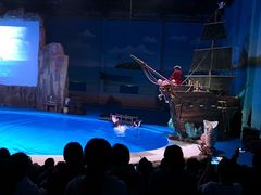 -华夏文旅海洋公园