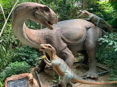 -北京呀路古热带植物园