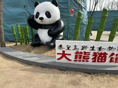 -秦皇岛野生动物园