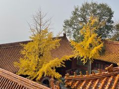 -天津盘山风景名胜区