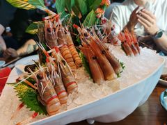 任点任吃刺身-Mr·Fish鱼鲜生海鲜放题(银泰in99店)