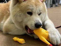 -YCHL Studios健身工作室(市二宫店)