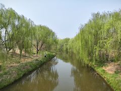-赵州桥景区