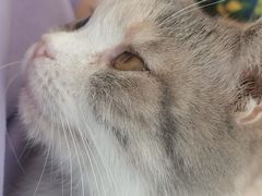 -平行世界·猫咖(首经贸店)