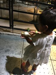 -酷嗒动物文化乐园(cutezoo西溪乐天城店)