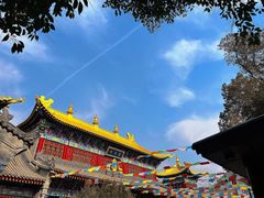 -西安市广仁寺