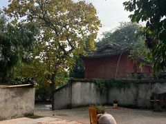 -中国观音故里广德景区