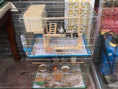 -伊隆斋(什刹海店)