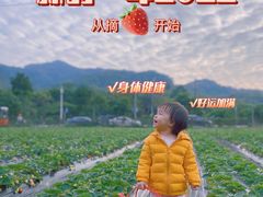 -广州市帽峰山景区