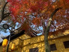 -灵岩山风景区