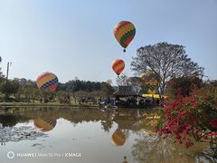 -中国科学院西双版纳热带植物园