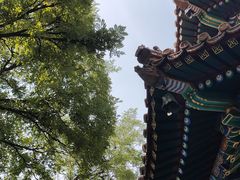 -雍和宫