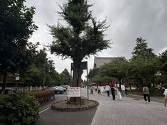 -秋叶原电器街