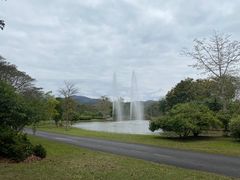 -中国科学院西双版纳热带植物园