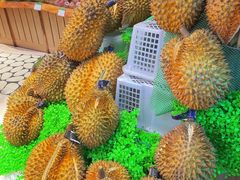 -PAGODA百果园(湛江城市美林店)