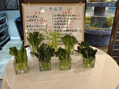 -珍之宝御品·寻味顺德(容桂渔人码头店)