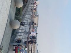 -金鸡湖桃花岛