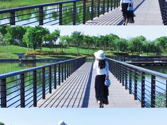 -郑东新区龙湖公共艺术中心