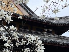 -龙华寺