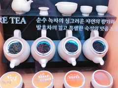 -雪绿茶博物馆