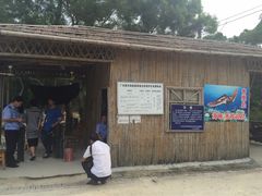 -广东惠东海龟国家级自然保护区