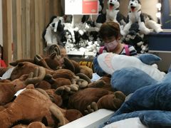 -宜家家居(哈尔滨商场店)