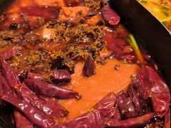 -朱光玉火锅馆(正弘城店)